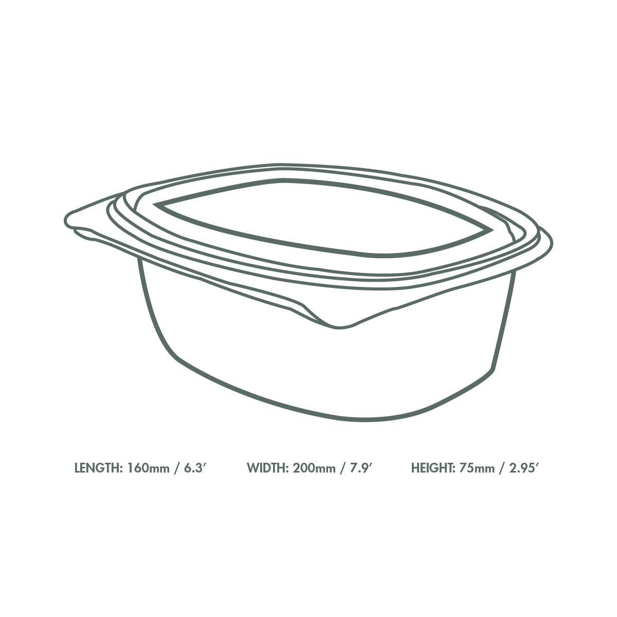 Dimensions_VHD-48 48oz PLA hinged deli container