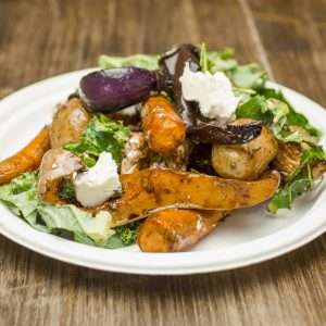 9in bagasse plate
