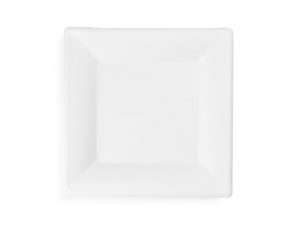 10 inch square compostable plates pack &mdash; bagasse sugarcane plate