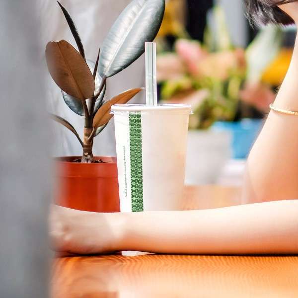 Certified compostable packaging — Vitaveg PLA cold cups displayed on a table