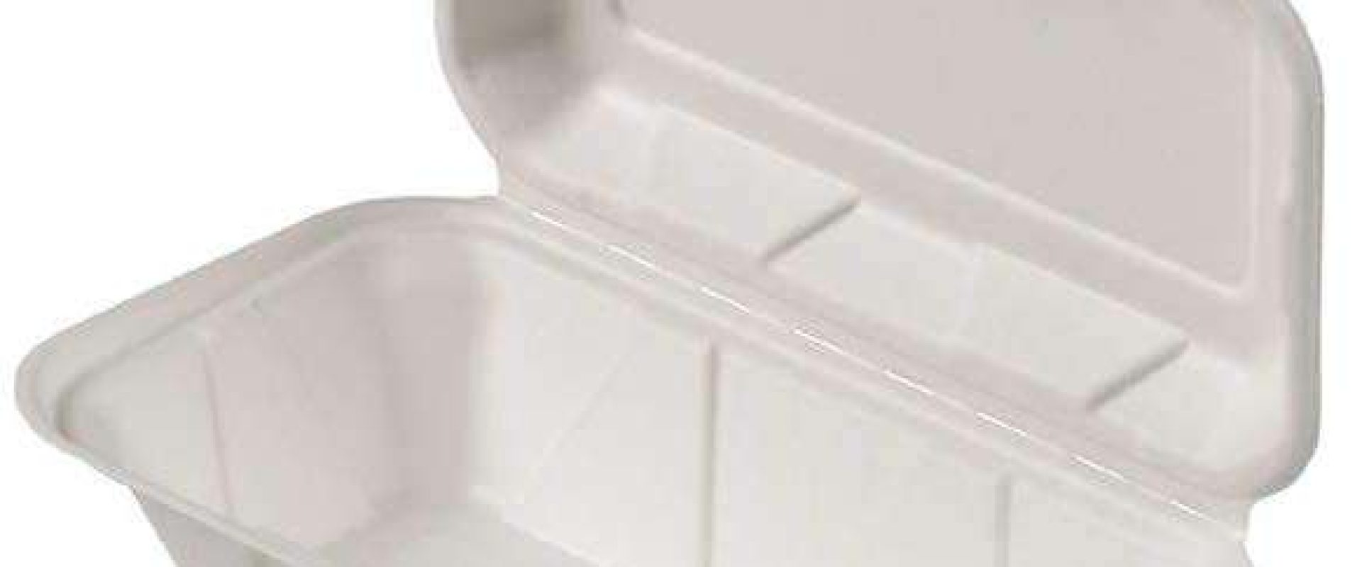 9 x 6in hoagie clamshell white